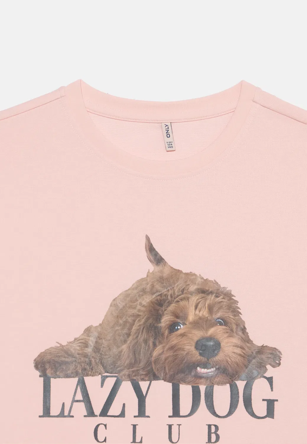 Футболка Kogbillie ss loose print с принтом Only Girls, Chalk Pink — фото 4