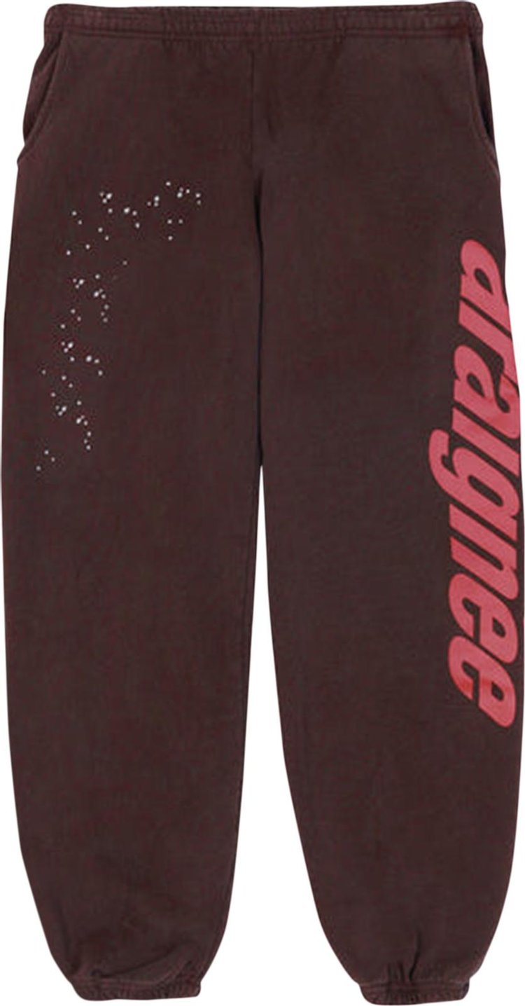 Спортивные брюки Sp5der Araignee Sweatpants 'Brown', коричневый - фото