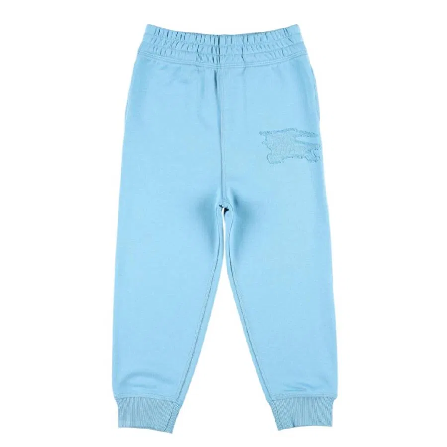Детские спортивные брюки с вышивкой EKD Jackson Burberry, Sea Blue