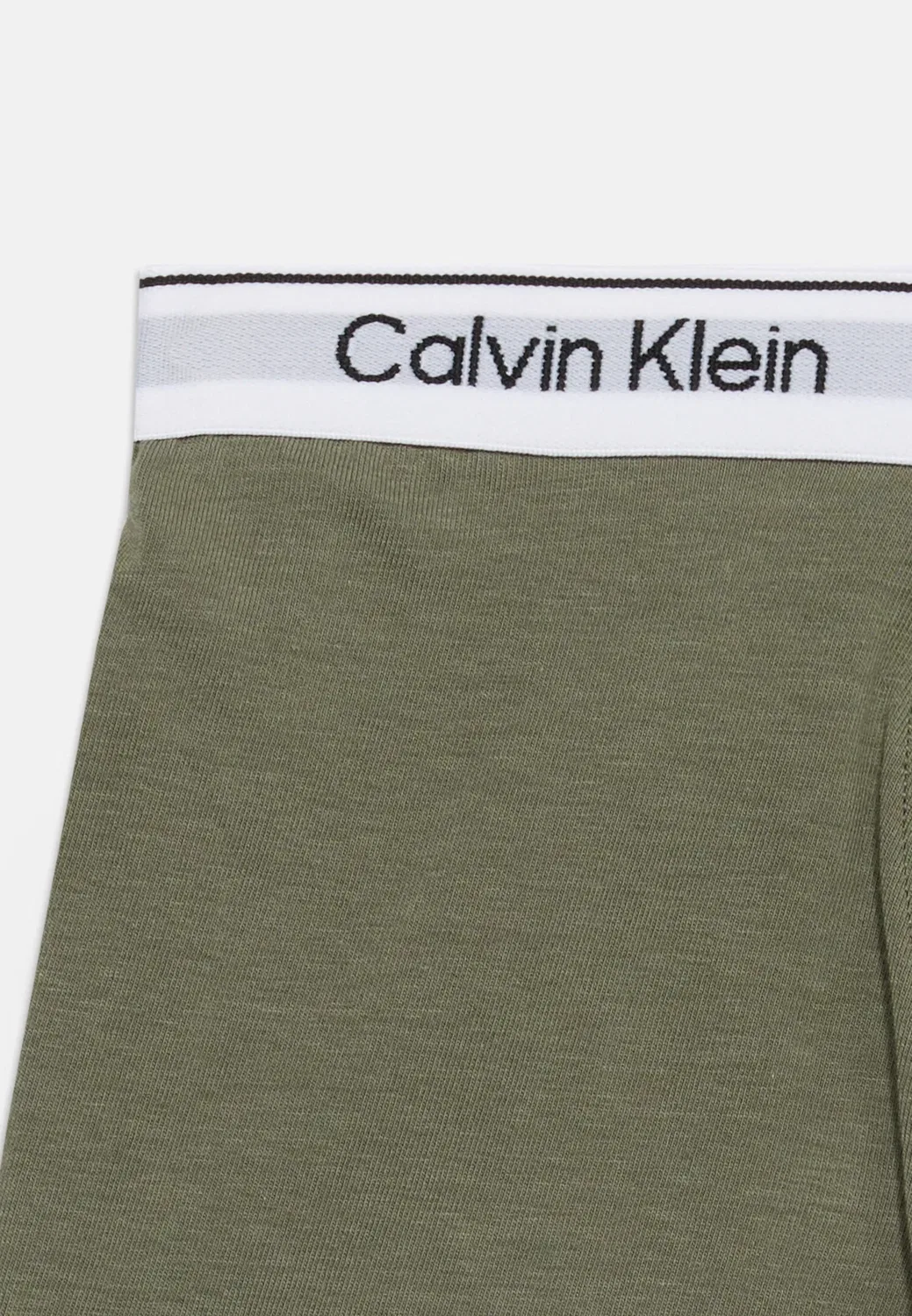 2 шт. - плавки Calvin Klein Underwear, Dusty Olive/Oil Green — фото 3