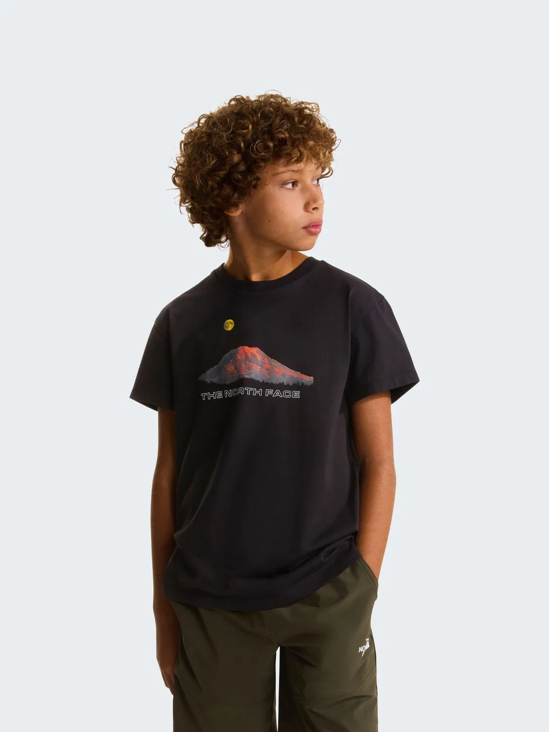 Футболка с принтом Mountain Back The North Face, черный