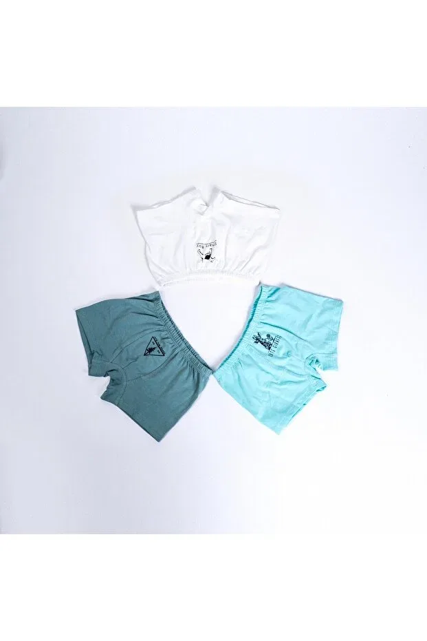 Детское белье для мальчиков с принтом боксеры Coco & Bamboo, Green/White/Turquoise — фото 2