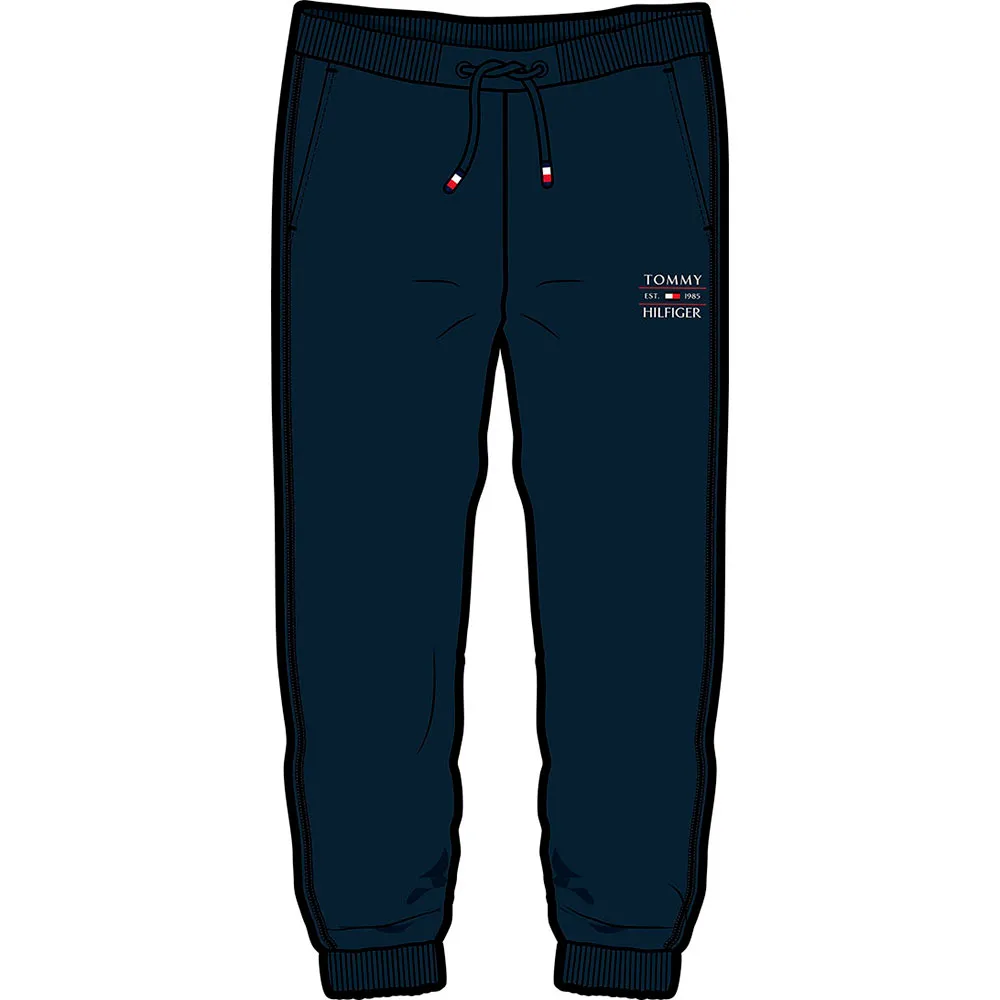 

Спортивные брюки Tommy Hilfiger Flag, синий