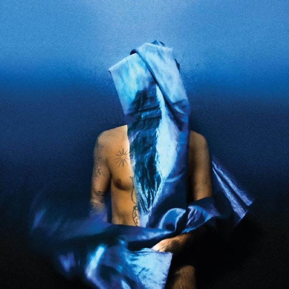 

Диск CD Flying Wig - Devendra Banhart