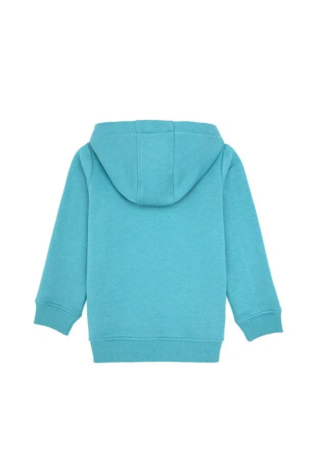 Детское худи для мальчиков с капюшоном U.S. Polo Assn., Dark Mint — фото 2