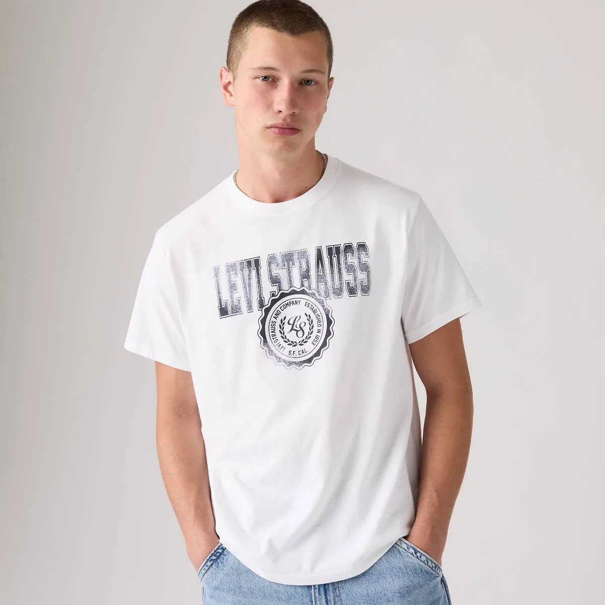 Свободная футболка с коротким рукавом и графическим принтом Levi's, Ls & Co White - White
