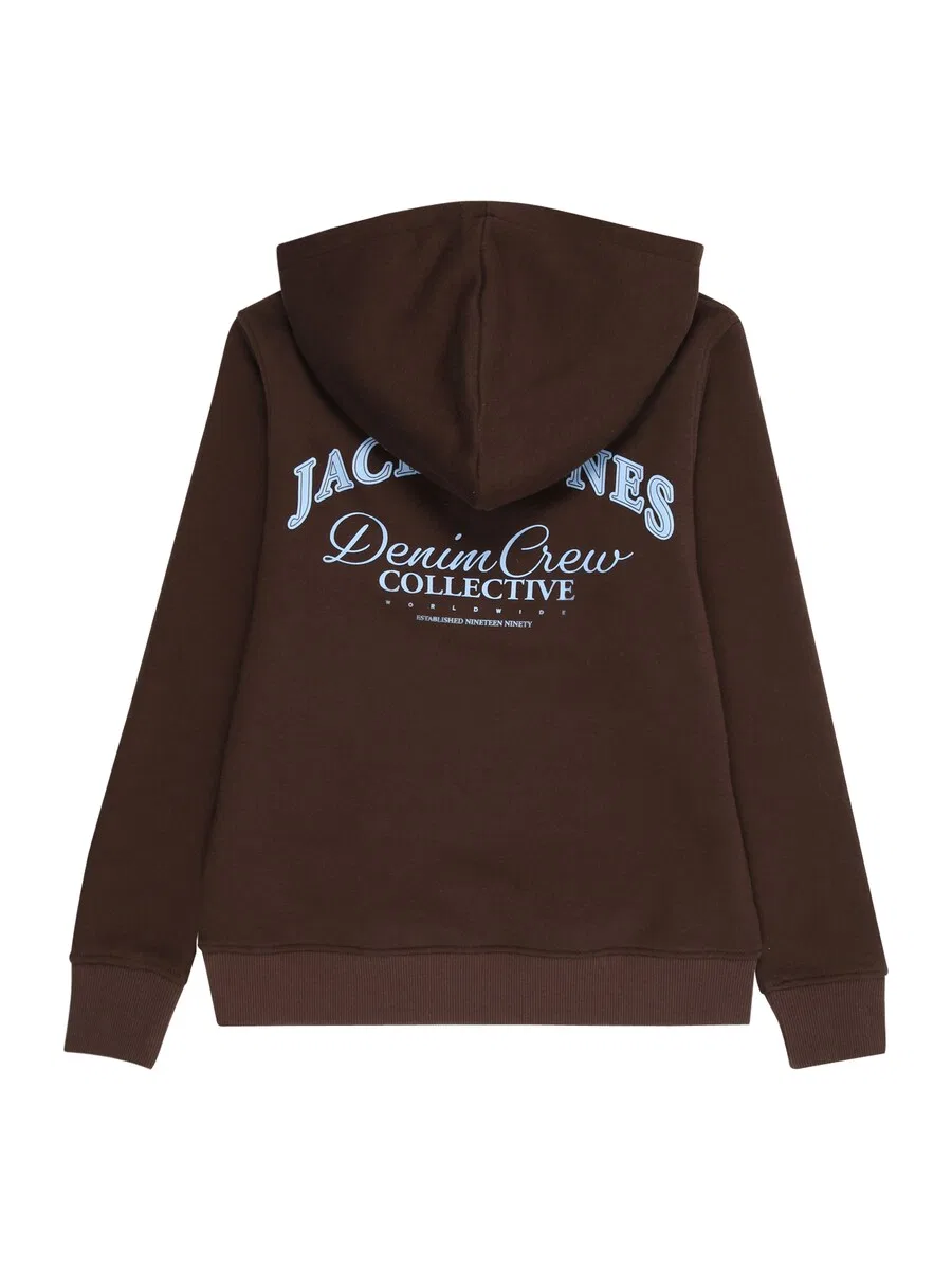 Детская толстовка 'JJEBrandes' шоколадного цвета Jack & Jones Junior — фото 2