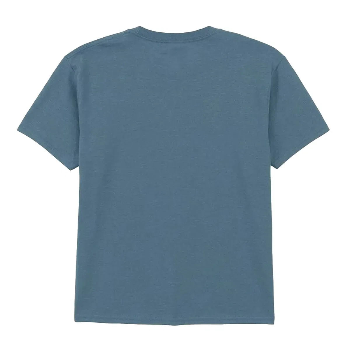 Футболка Softstyle Gildan, Blue — фото 2