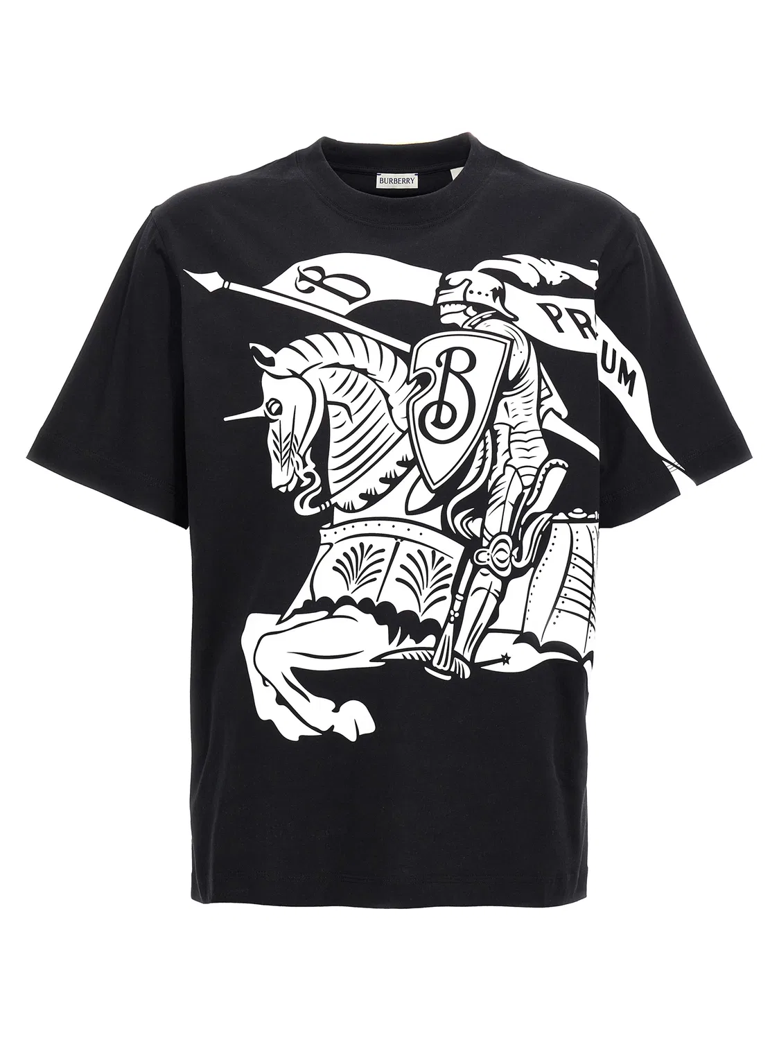 Мужская футболка с принтом Bicolor Cotton T-Shirt Burberry, Bicolor
