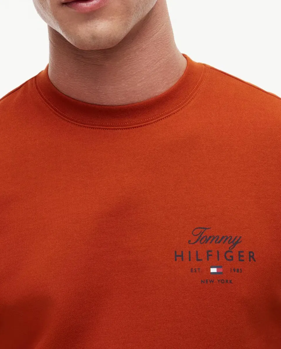 Мужская свитшот с круглым вырезом Tommy Hilfiger, Teja — фото 3