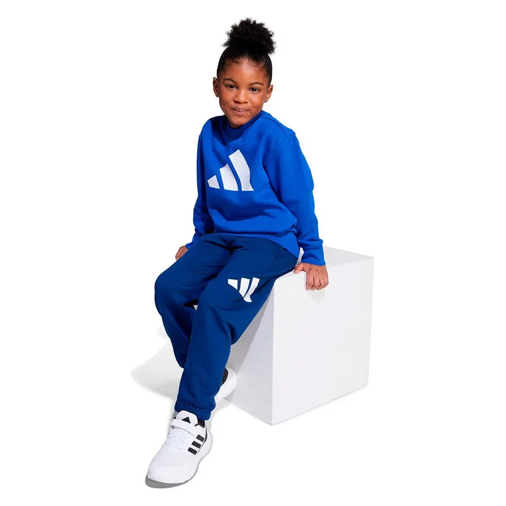 Комплект спортивных штанов Adidas Essentials Joggers, синий — фото 3