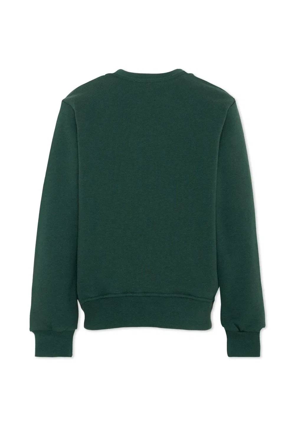 Фелпа - толстовка Msgm, Green — фото 2