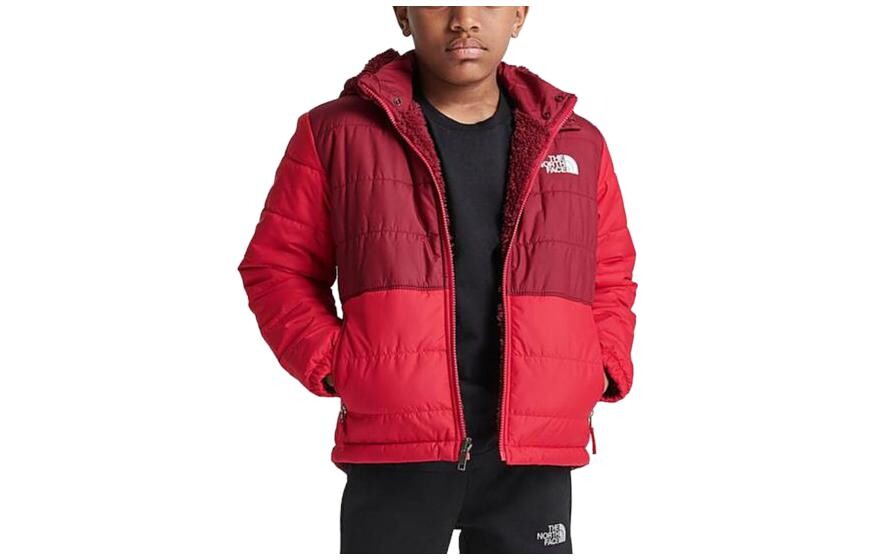 

THE NORTH FACE Детская куртка, цвет Red