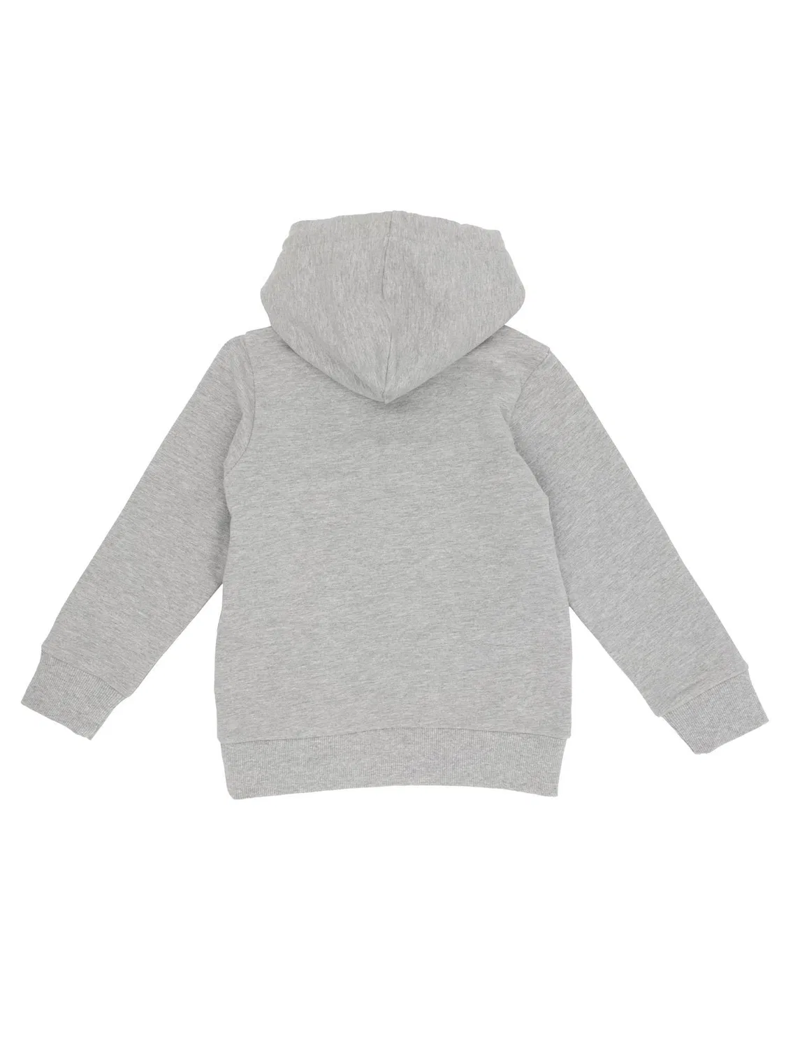 Детское худи для девочек с принтом Super Grey Leone 1947 Apparel, Grau — фото 2
