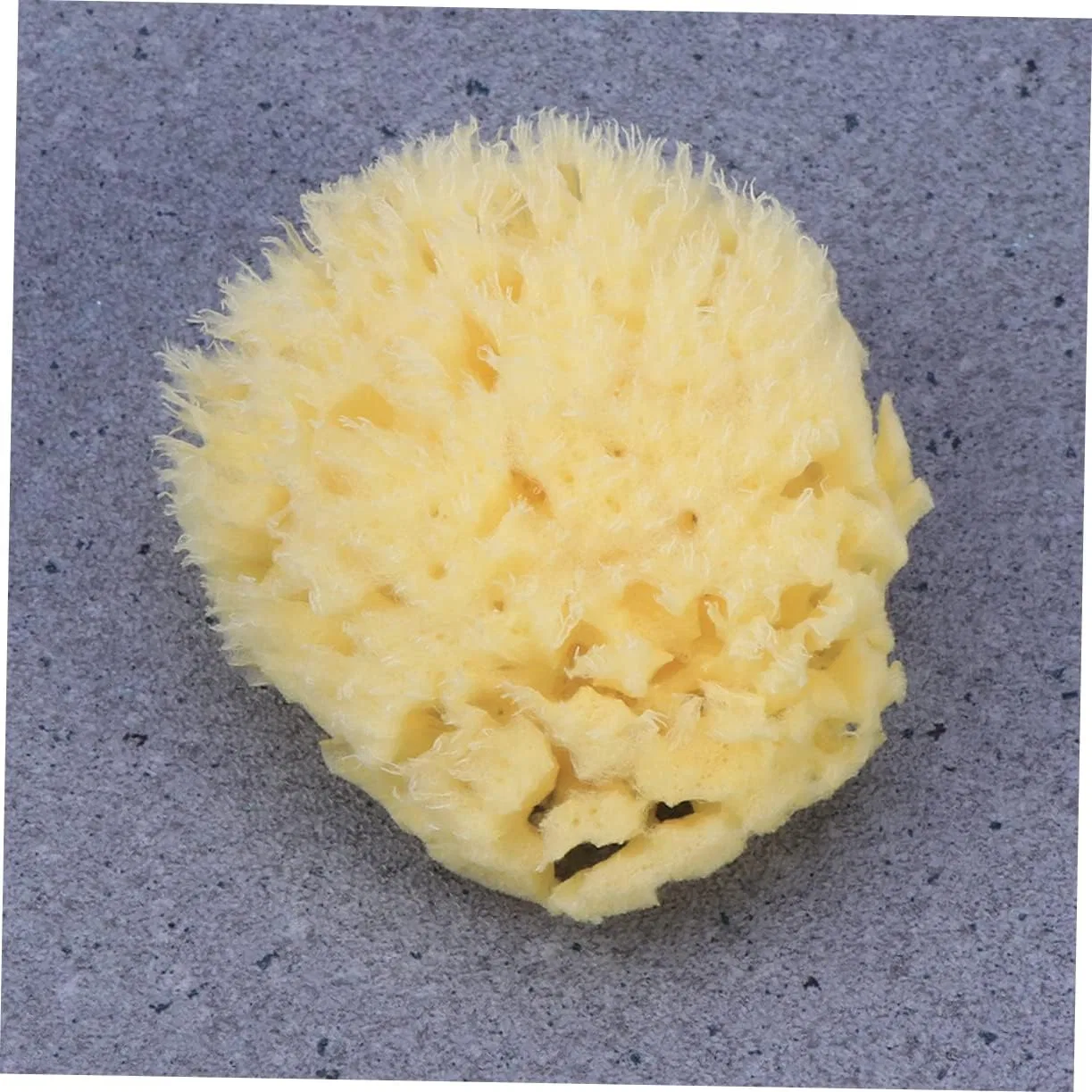 Губка для ванны Natural Honeycomb Healeved, набор 2 шт, 10x9x4.5 см — фото 2