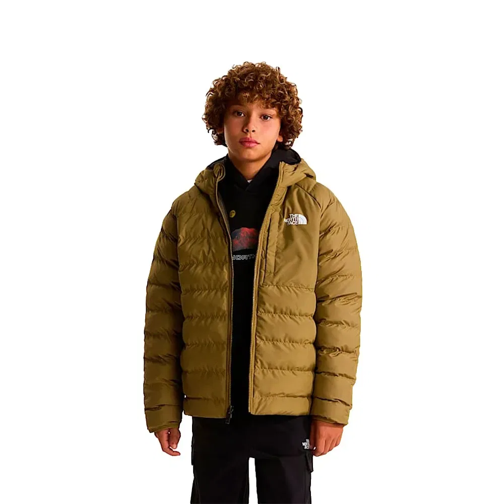 Детская куртка для мальчиков с принтом Reversible Perrito The north face, Green — фото 4