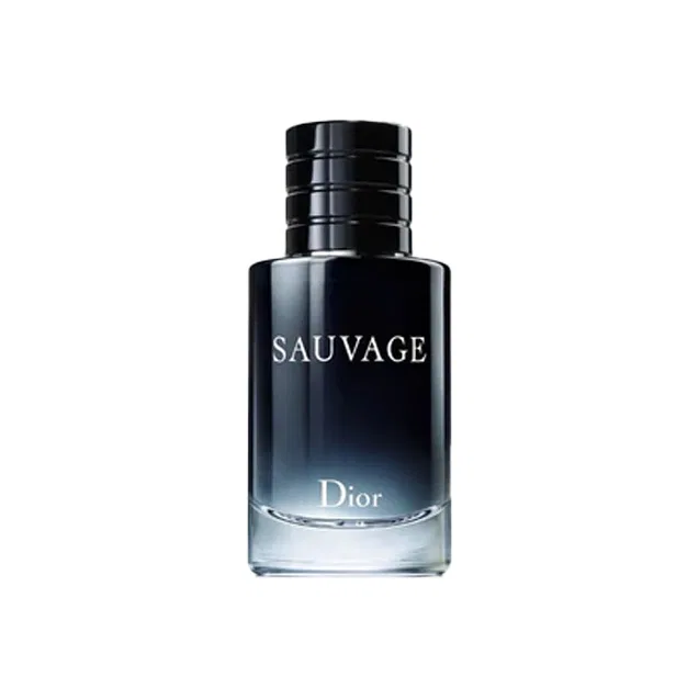 Мужской парфюмерный набор Dior Wild, Fougere Eau De Toilette 10мл, DIOR, Black
