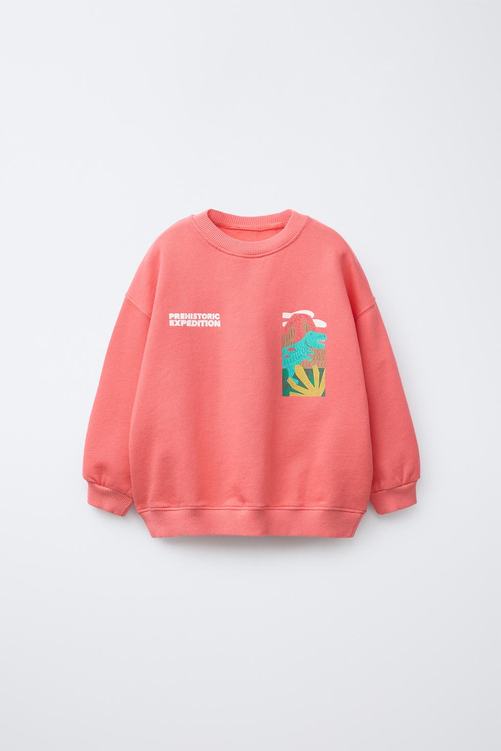 

Толстовка с принтом динозавра ZARA, цвет Red/Coral