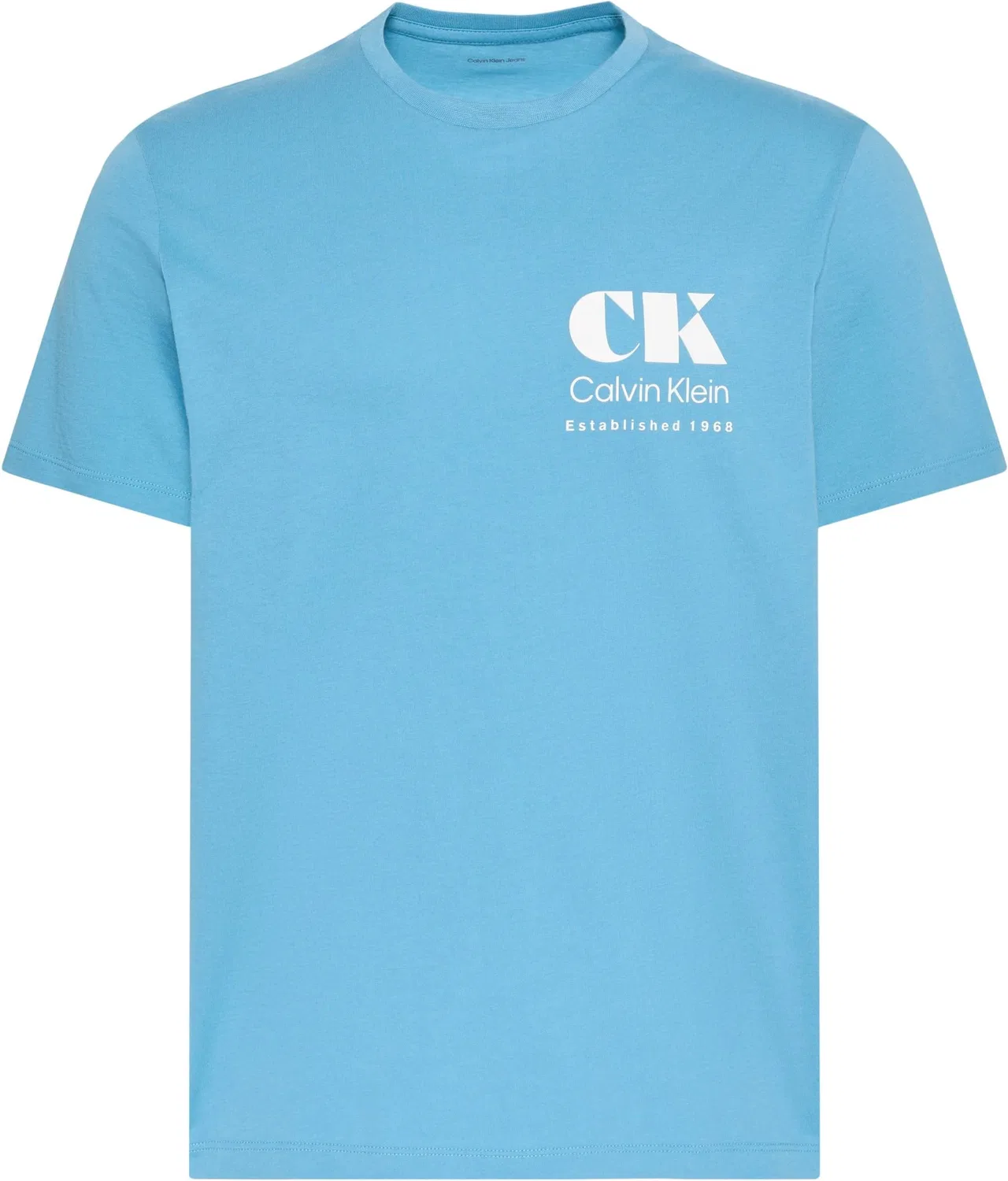 Мужская футболка с принтом CK Resort Graphic Tee Calvin Klein, Green (Blue Steam) — фото 4