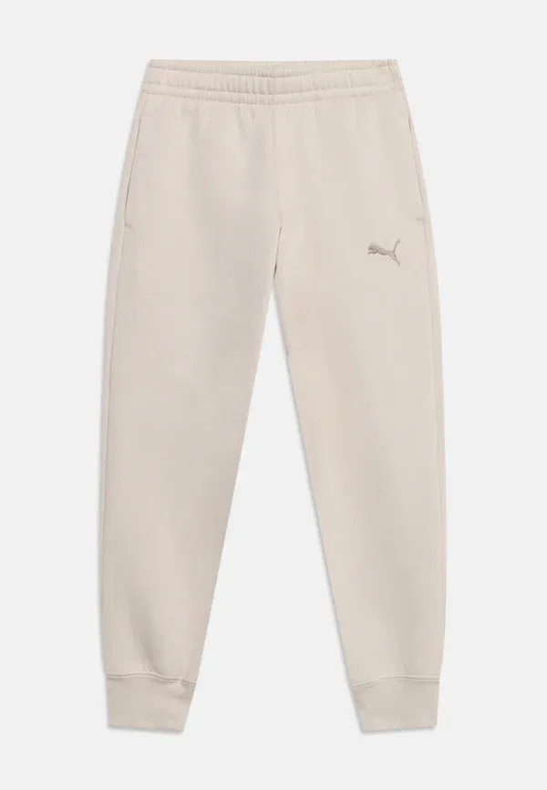 Брюки из хлопка и полиэстера, тренировочные Puma, Silver-coloured Fog