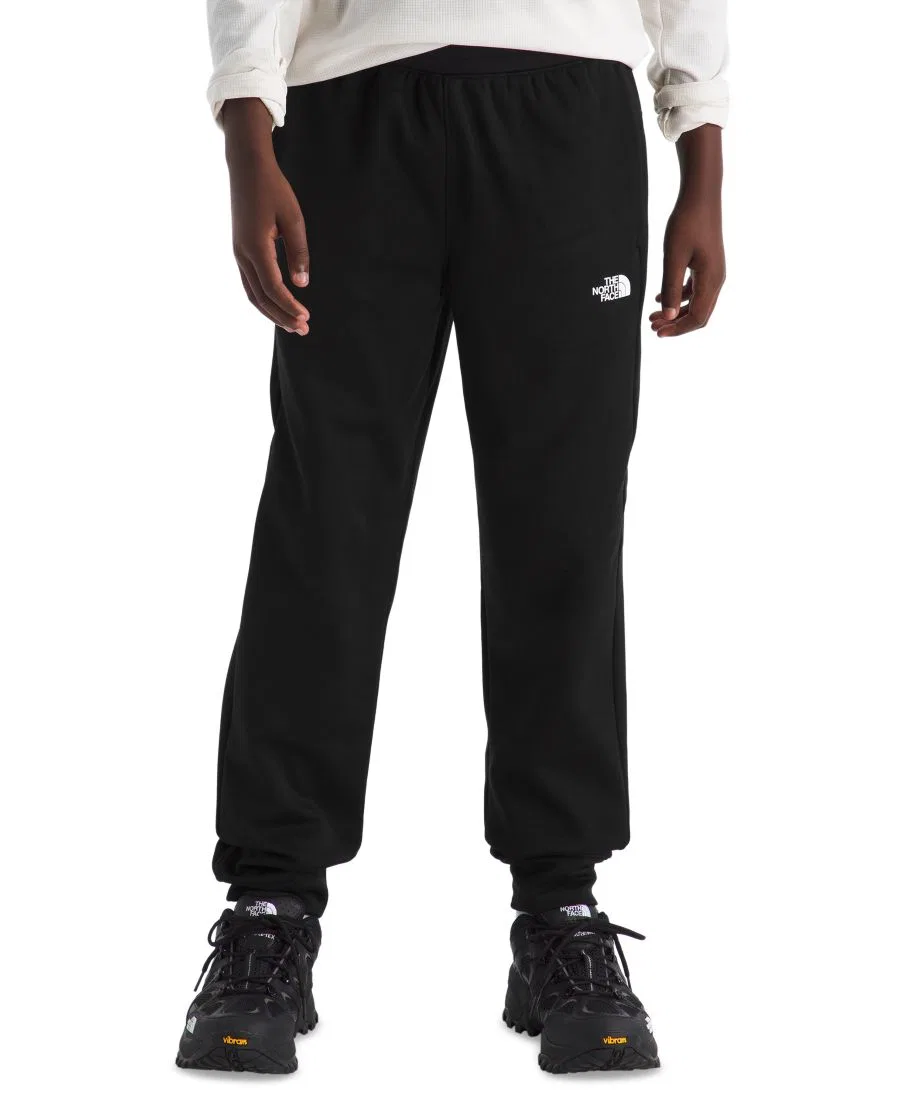 Спортивные брюки из флиса Performance Fleece Joggers The North Face, TNF Black