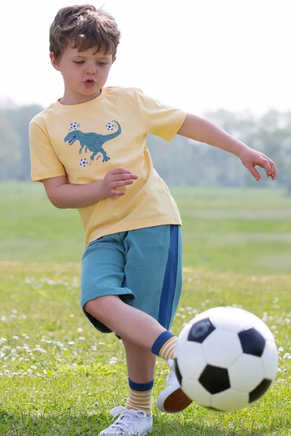Футболка с принтом T-Rex Tricks Kite, Yellow — фото 3