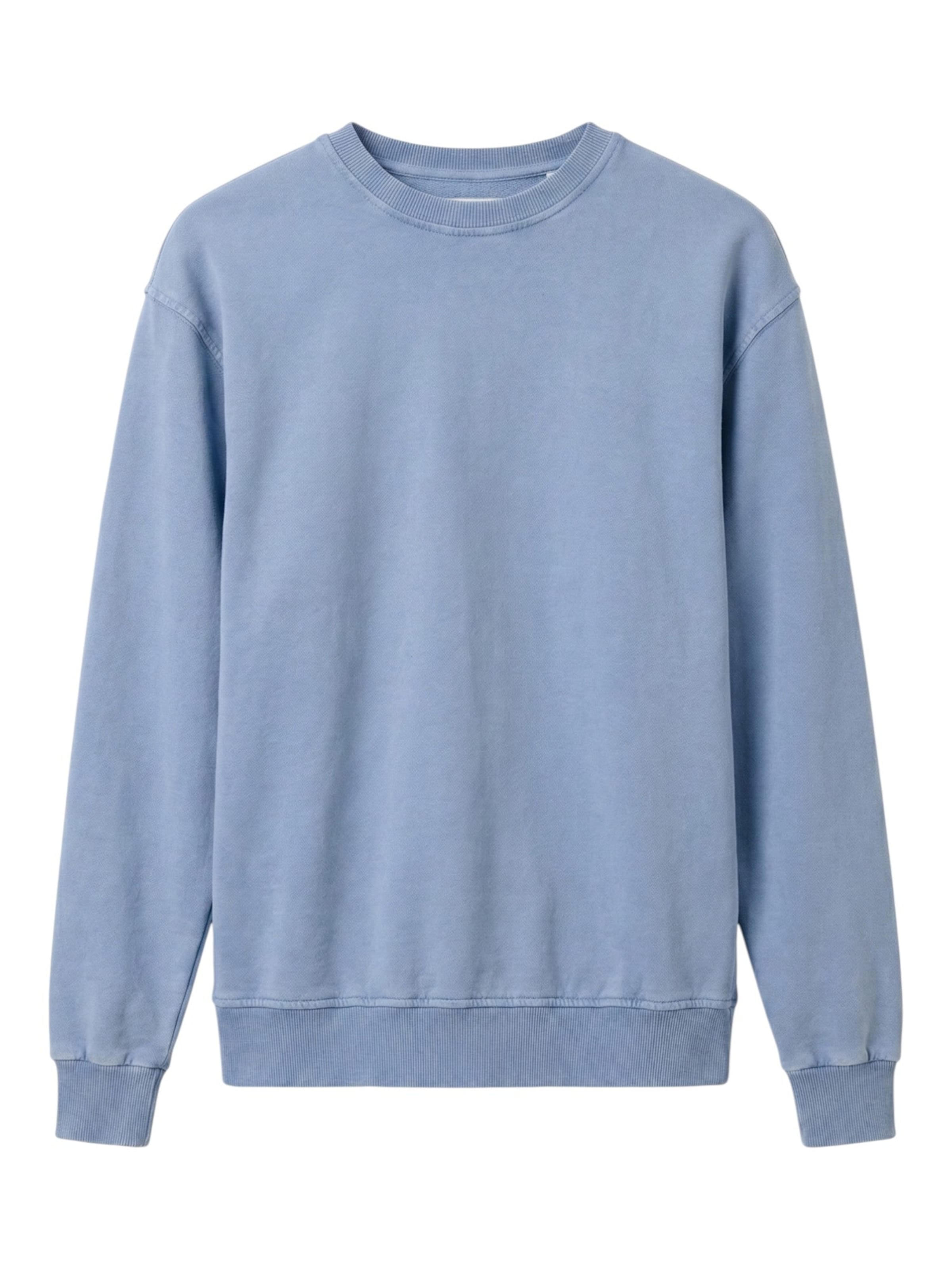 

TEESHOPPEN Свитшот 'Lucas' в цвете Sky Blue