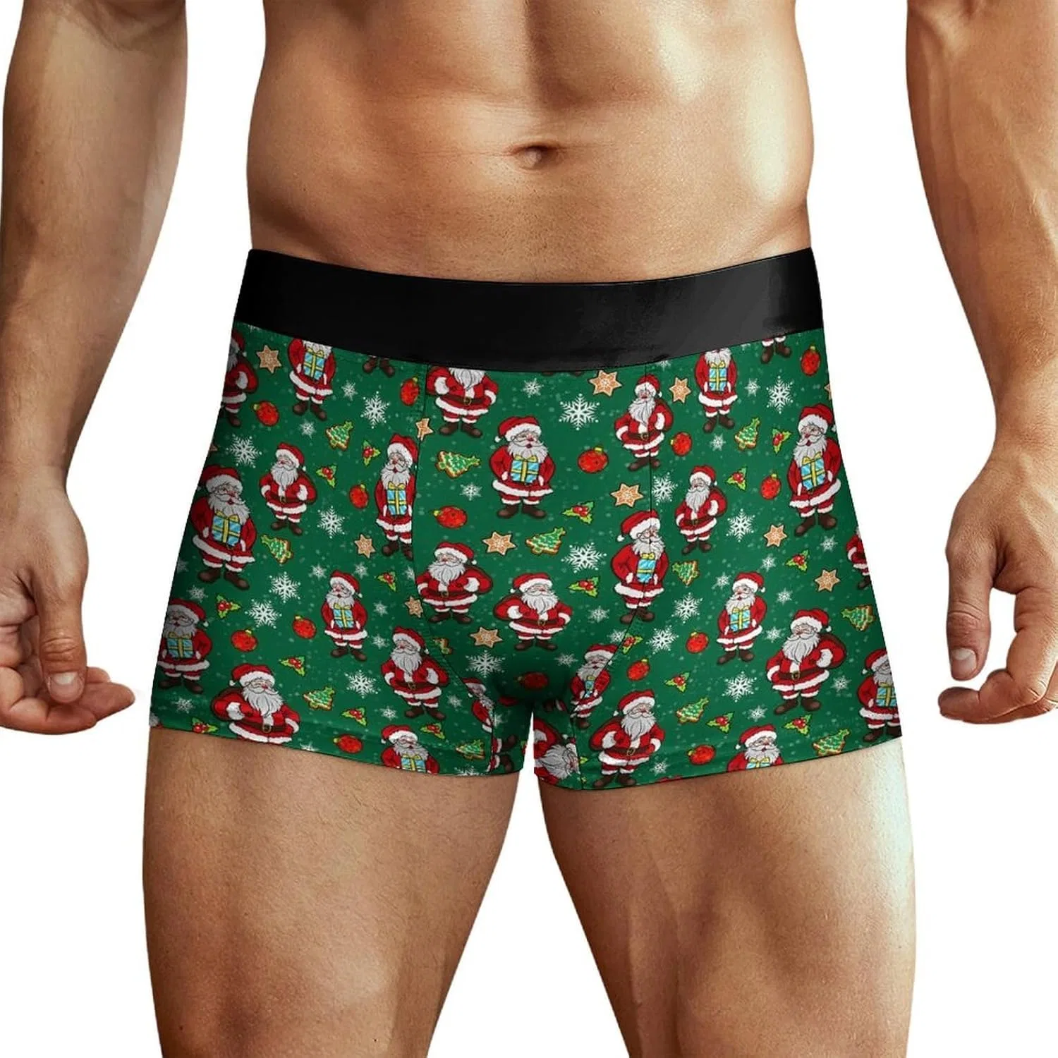 Боксеры с животными Christmasman