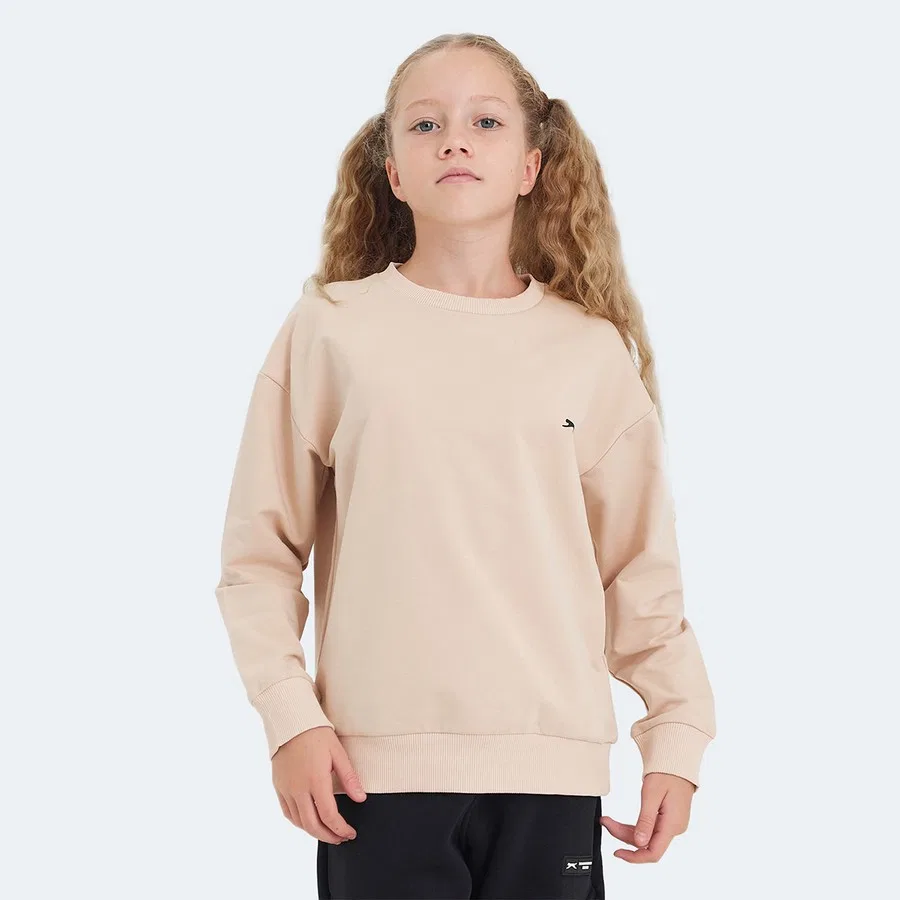 Свитшот с капюшоном и круглым вырезом, модель Luppa, Slazenger, Темно-серый — фото 3