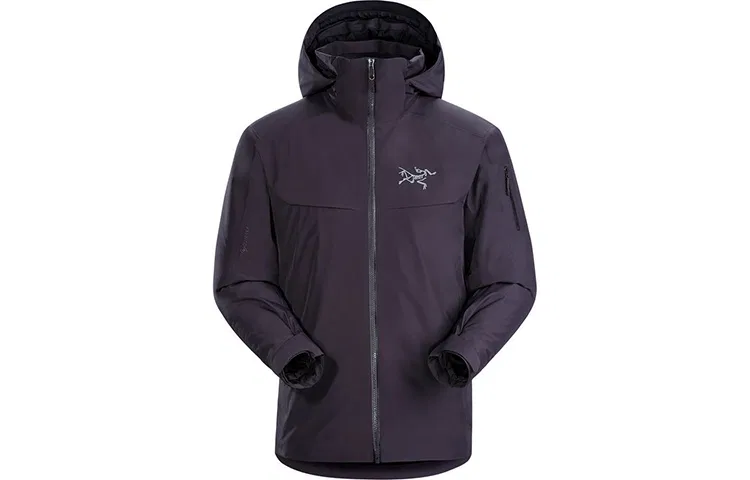 Мужская зимняя куртка с GORE-TEX, модель Arc'teryx, Dark Purple