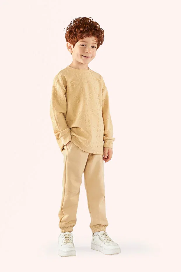 Детские свитшот для мальчиков с длинным рукавом Panço, Beige