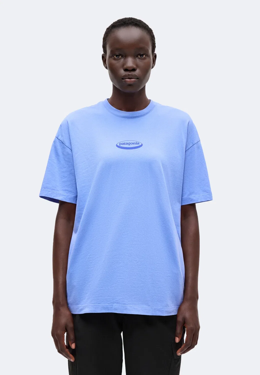 Футболка с овальным логотипом 1995 года, увеличенного размера Patagonia, Diver Blue