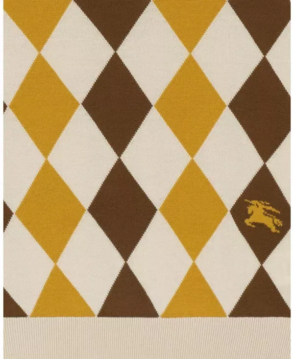 Мужской свитер с V-вырезом Argyle Wool Sweater Vest Burberry, Pear Yellow — фото 4