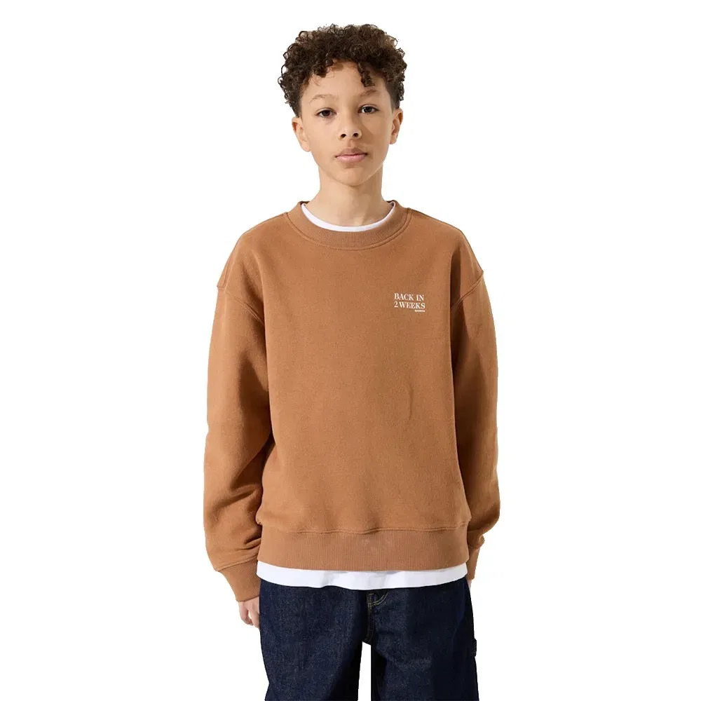 Детский свитшот с круглым вырезом Garcia I53660, Brown