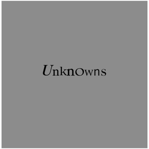 

CD диск Dead C: Unknowns