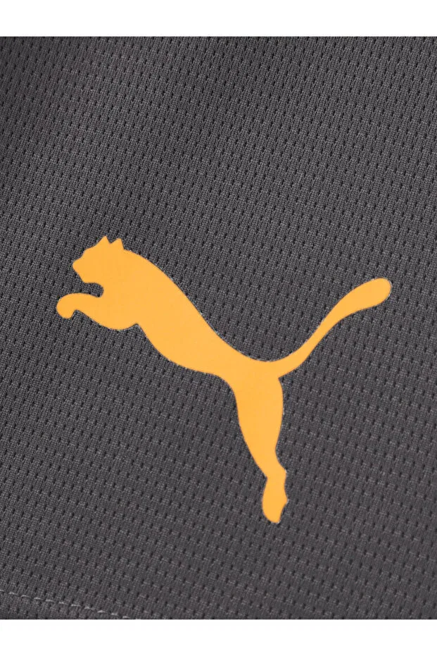 Детские шорты для девочек спортивные Galatasaray puma kids training shorts Gsstore, Anthracite — фото 3