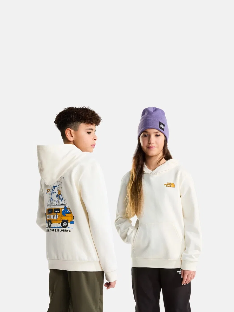 Толстовка THE NORTH FACE светло-бежевого цвета — фото 2