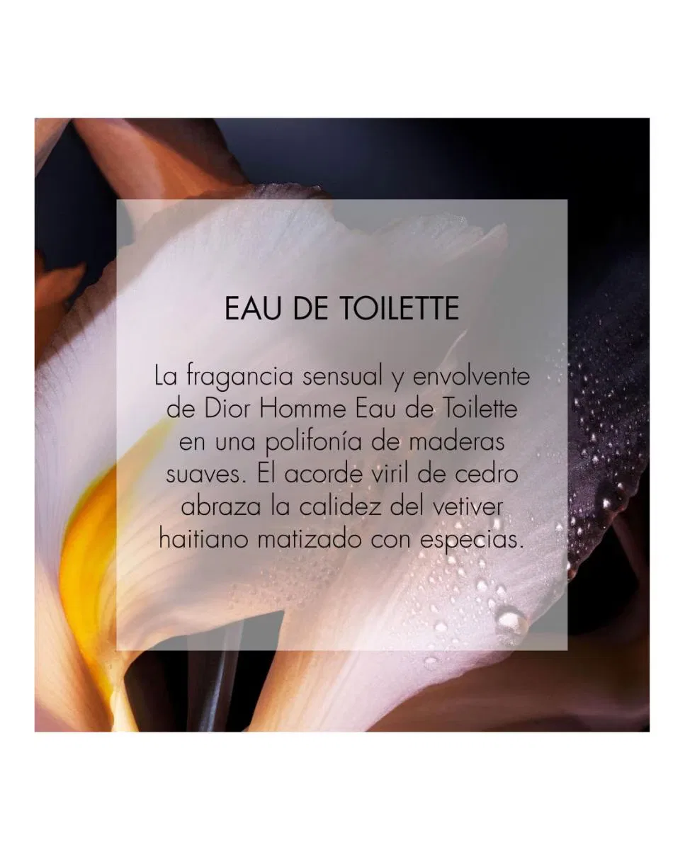 Туалетная вода, 50 мл, Homme, DIOR — фото 4
