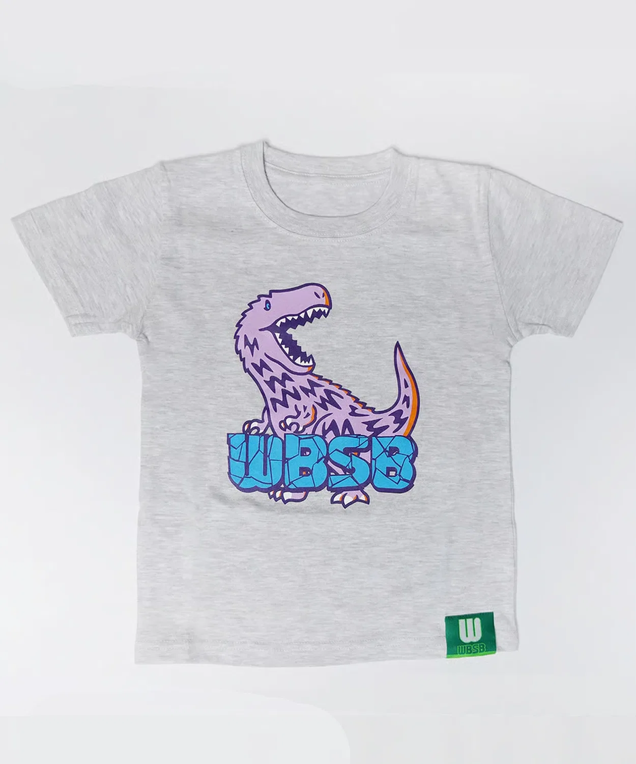 Детская футболка с принтом Dinosaur WBSB, Аш Грей