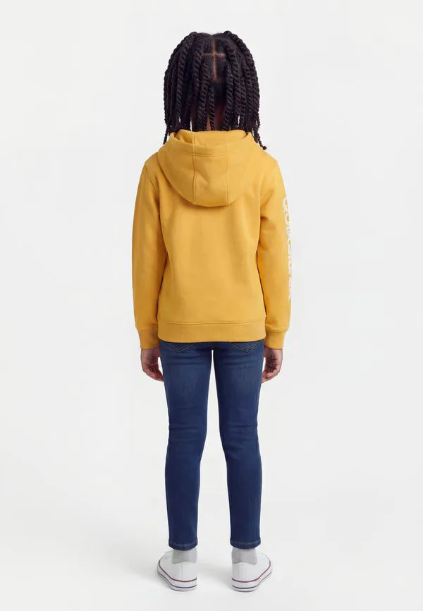 Худи унисекс с логотипом omni для подростков Quiksilver, Mineral Yellow — фото 2