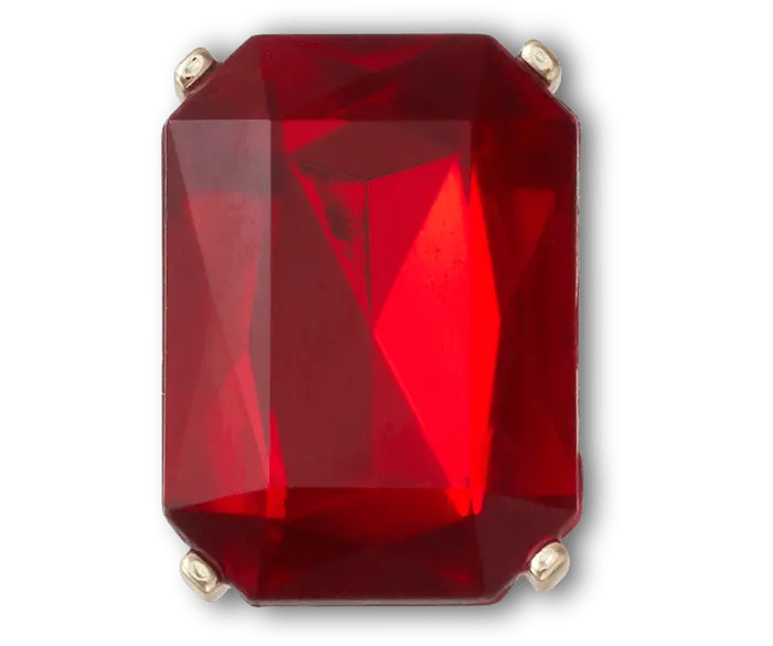 

Джиббитсы Ruby Square Gem Crocs