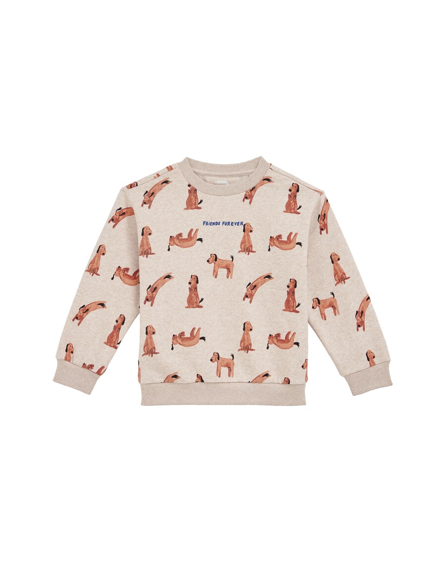 

Толстовка WE Fashion, разноцветный