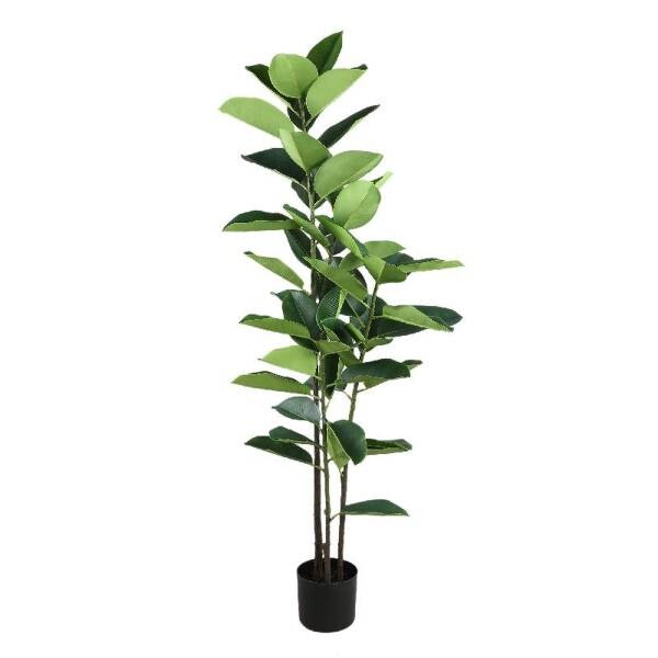 

Декоративное растение PTMD Collection Oak Tree, черный