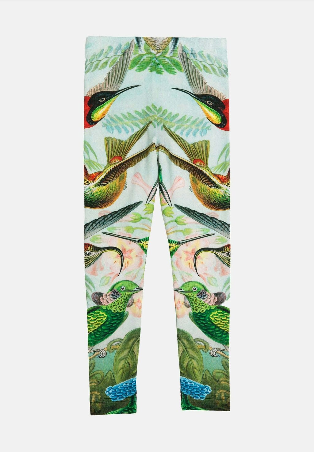 

Брюки HUMMINGBIRD, Leggings DUE., неоновый зеленый