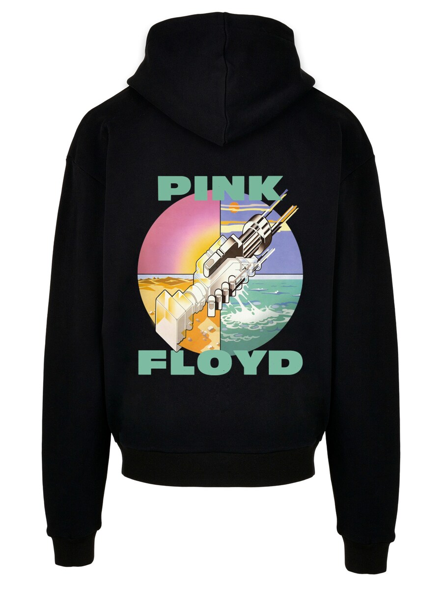 

Толстовка F4NT4STIC Pink Floyd, черный