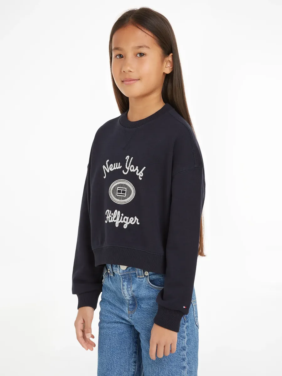 

Рубашка Tommy Hilfiger с длинными рукавами "HILFIGER NY EMBROIDERED CREWNECK", для детей до 16 лет, с вышивкой логотипа, цвет Desert Sky