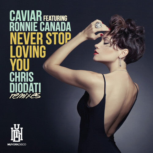

CD диск Caviar: Never Stop Loving You (Chris Diodati Remixes)