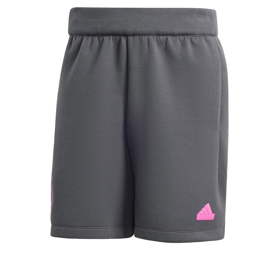 

Спортивные брюки ADIDAS PERFORMANCE Loose fit Workout Pants DFB, серый