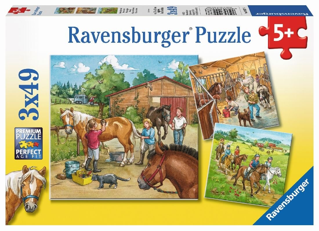 

Равенсбургер, пазл, День на конном заводе, 3х49 шт. Ravensburger