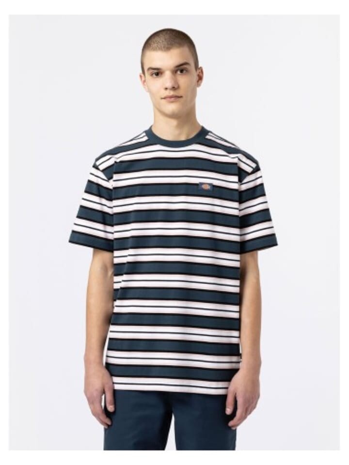 

Футболка Dickies Tshirt, разноцветный